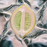 Oyster plate – St Clément – emerald green