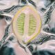Oyster plate – St Clément – emerald green