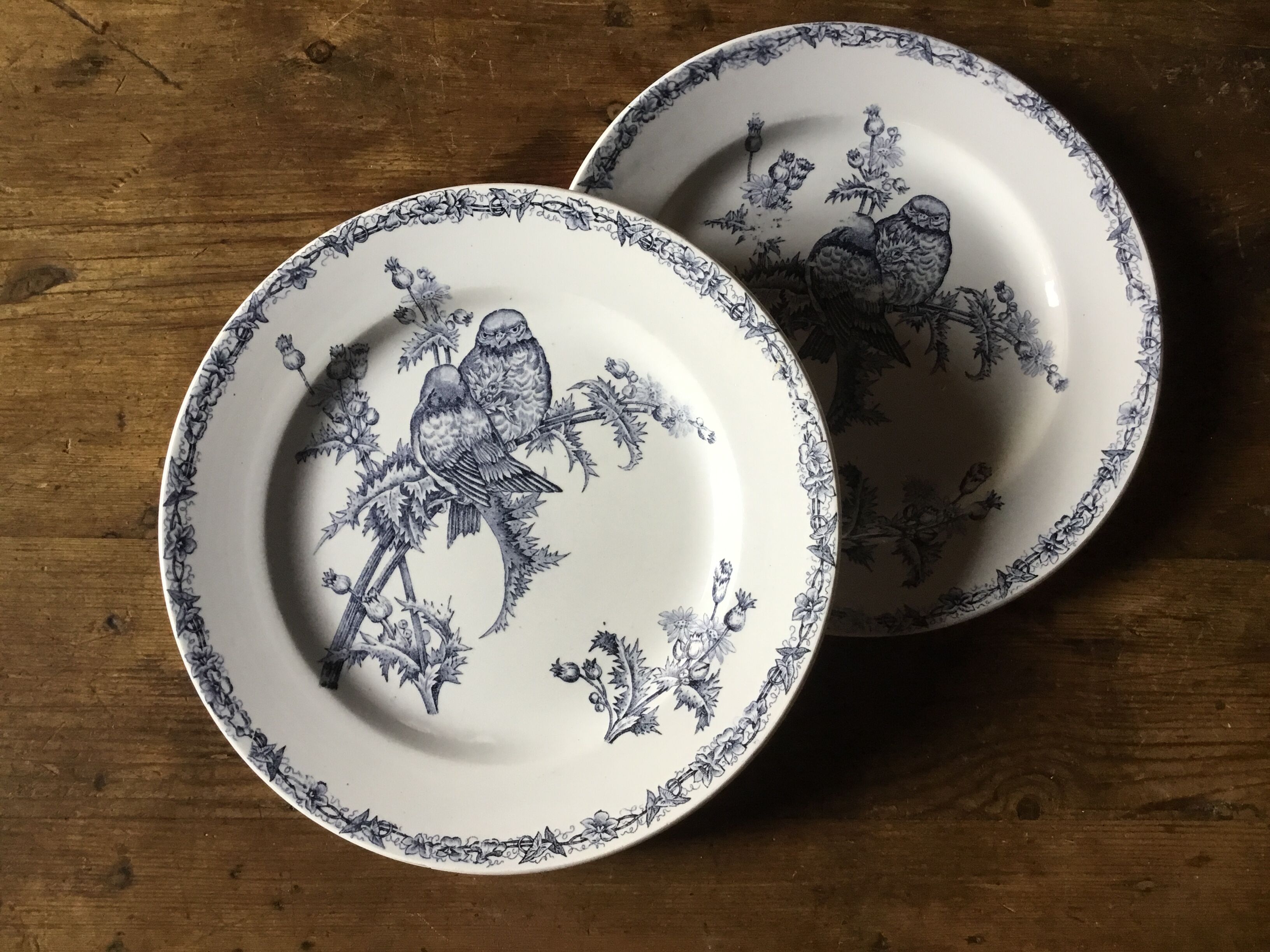 Plate Terre de fer Chardonnerets