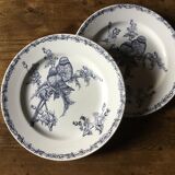 Plate Terre de fer Chardonnerets