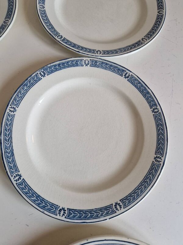 Lot de 14 assiettes Terre de fer Salins modèle Castellane