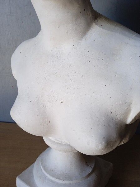 Large flat bust of Venus