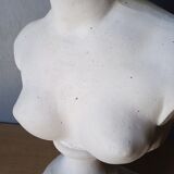 Large flat bust of Venus
