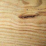 Small old tree closet