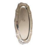 Large stainless steel fish dish