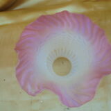 Tulipe en verre pressé blanc et rose