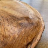 Plat en bois XL racine de thuya