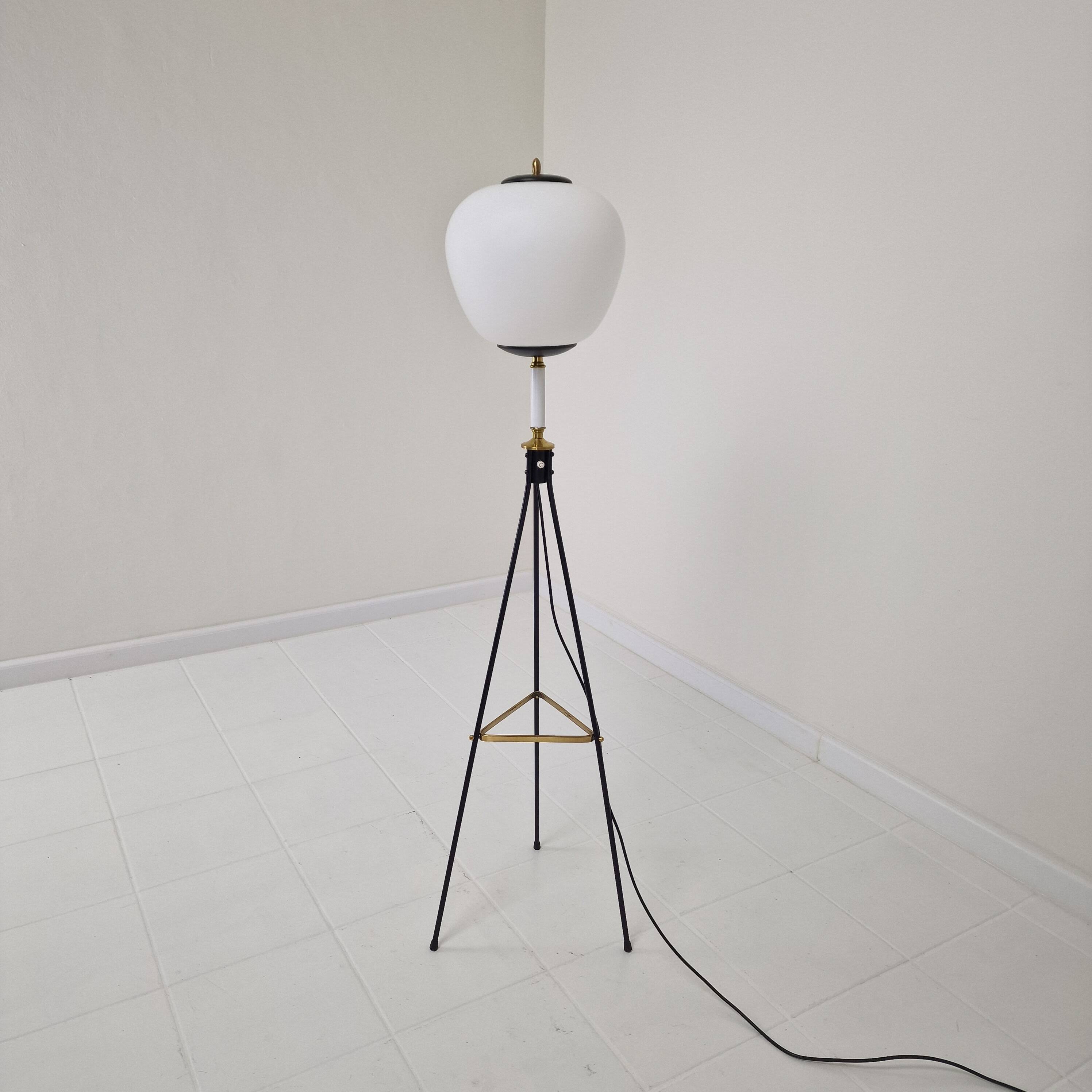 Stilnovo Tripod Floor Lamp, Italy 1950's