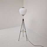 Stilnovo Tripod Floor Lamp, Italy 1950's