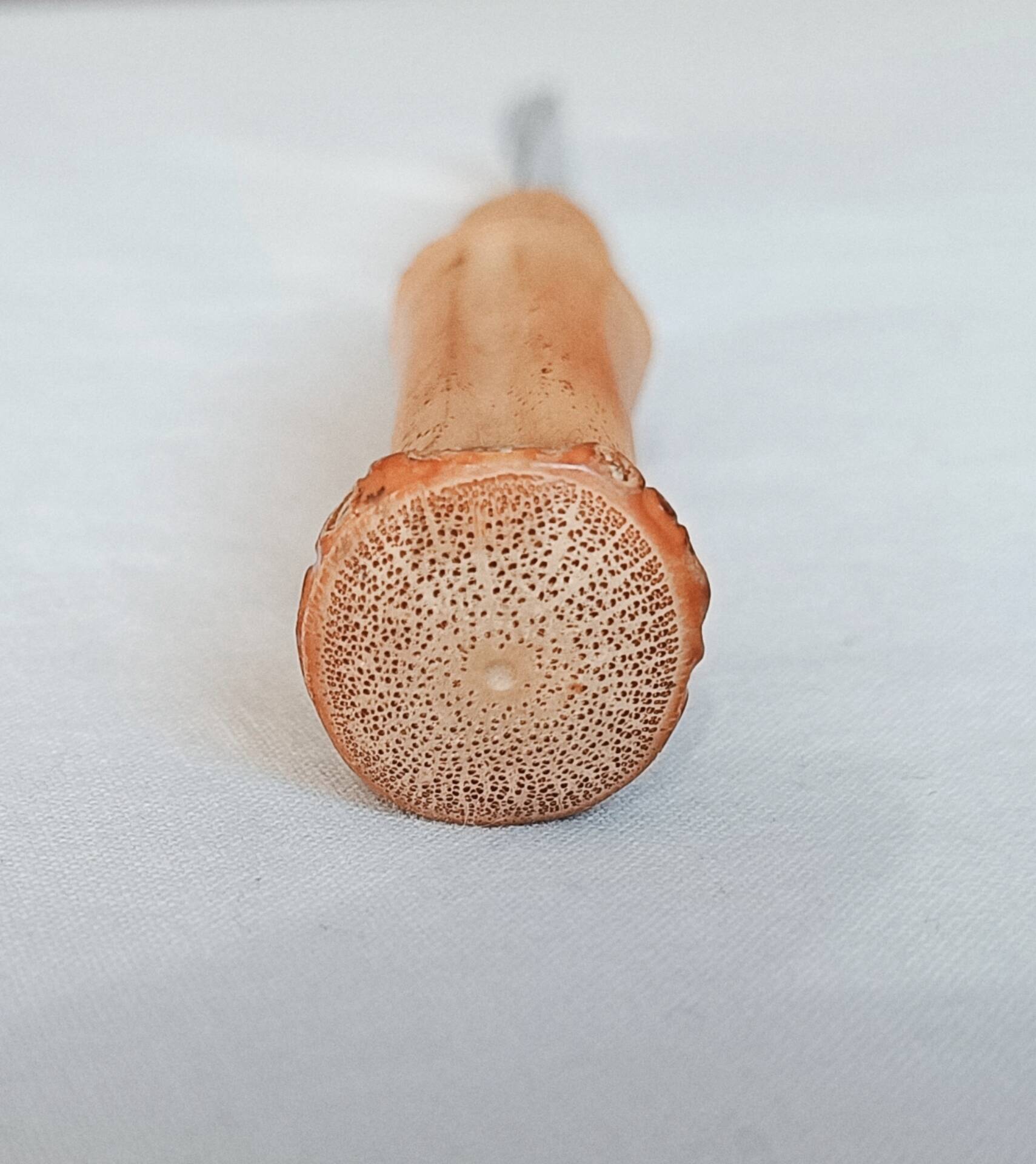 Vintage grapefruit knife – Genuine bamboo handle – Mi style
