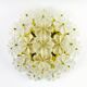 Mid-century floral ceiling light in Murano glass by Ernst Palme, Germany, 1970s