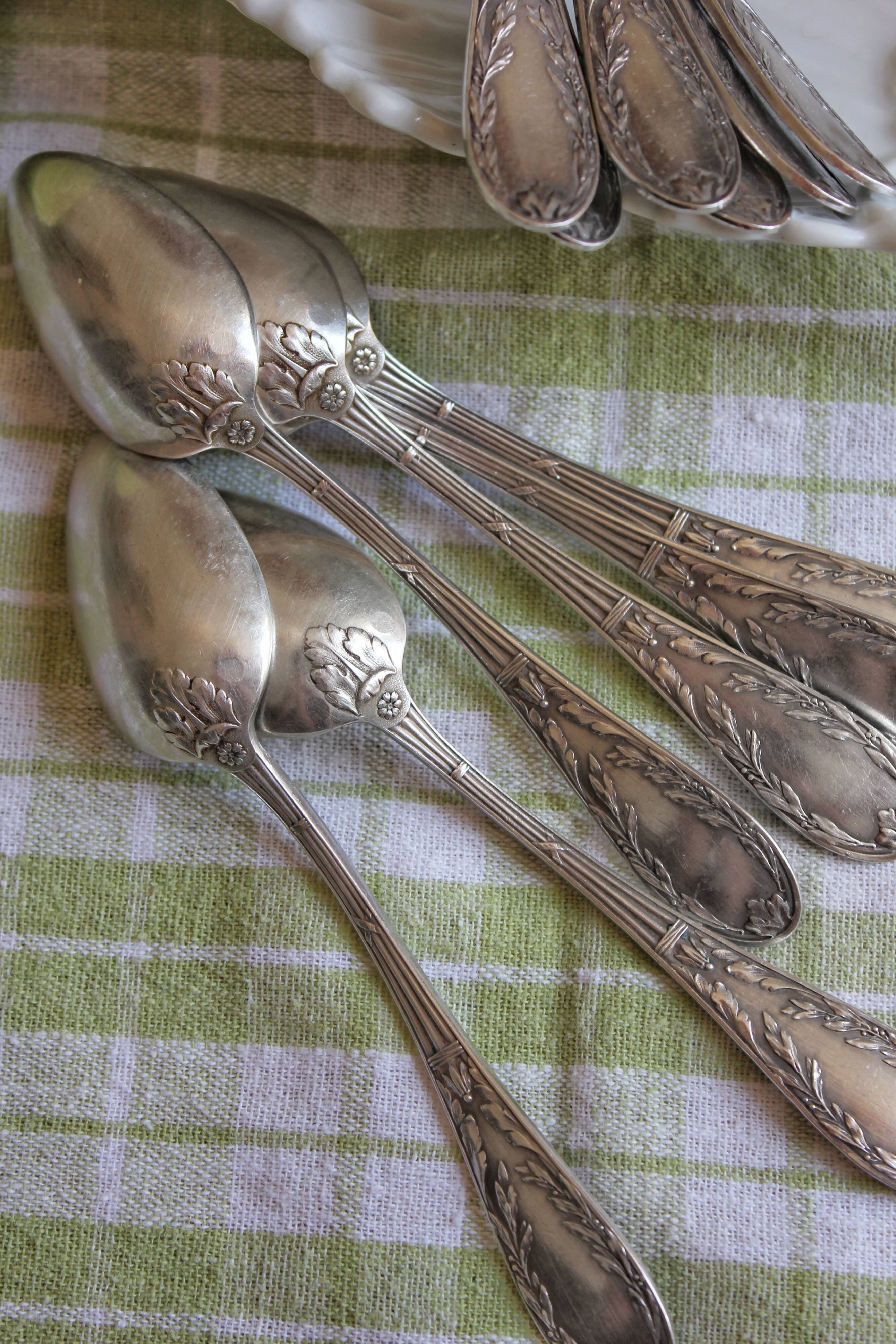Box of 12 small spoons in vintage silver metal