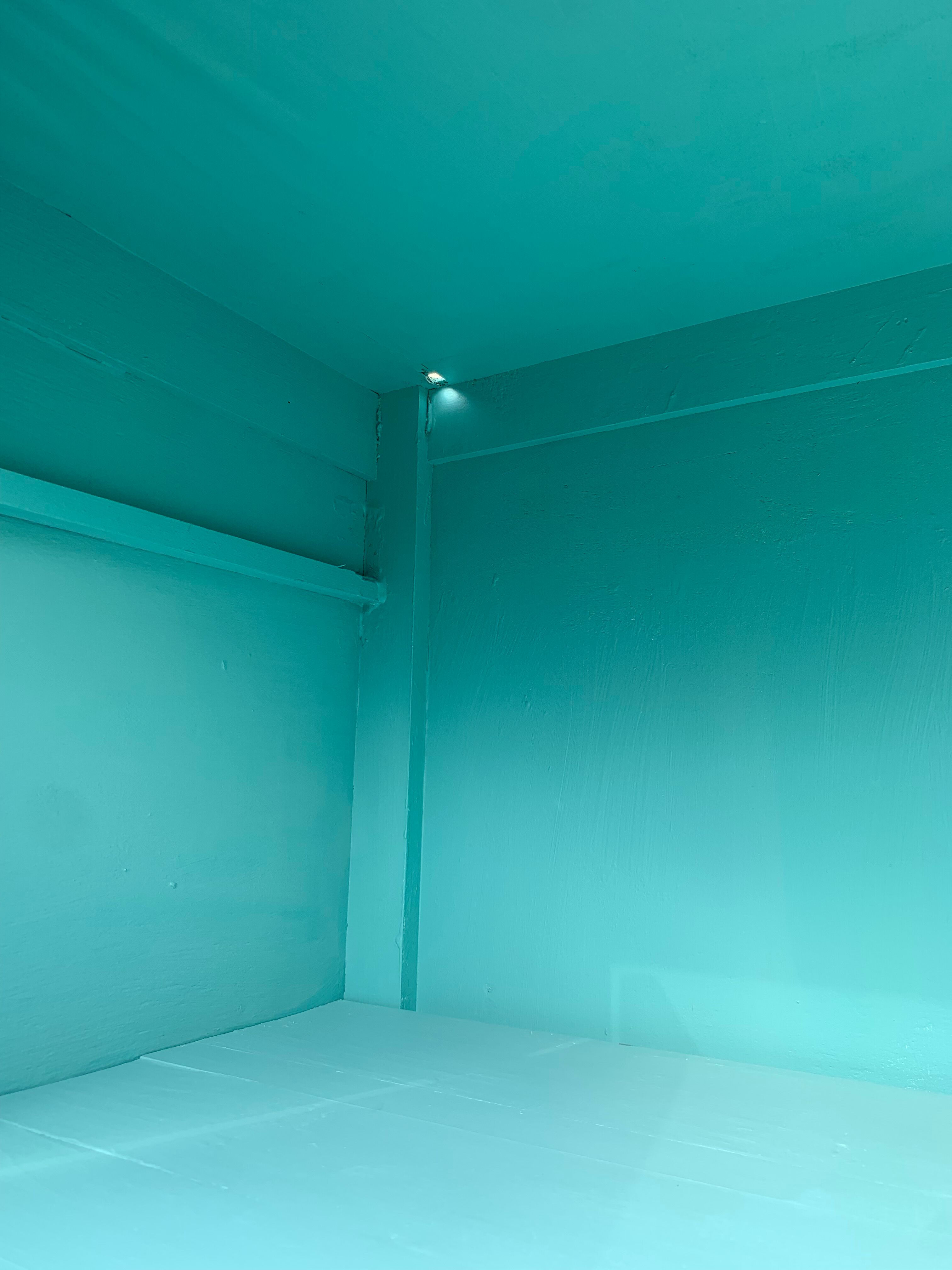 Parisian wardrobe art deco panel 1940