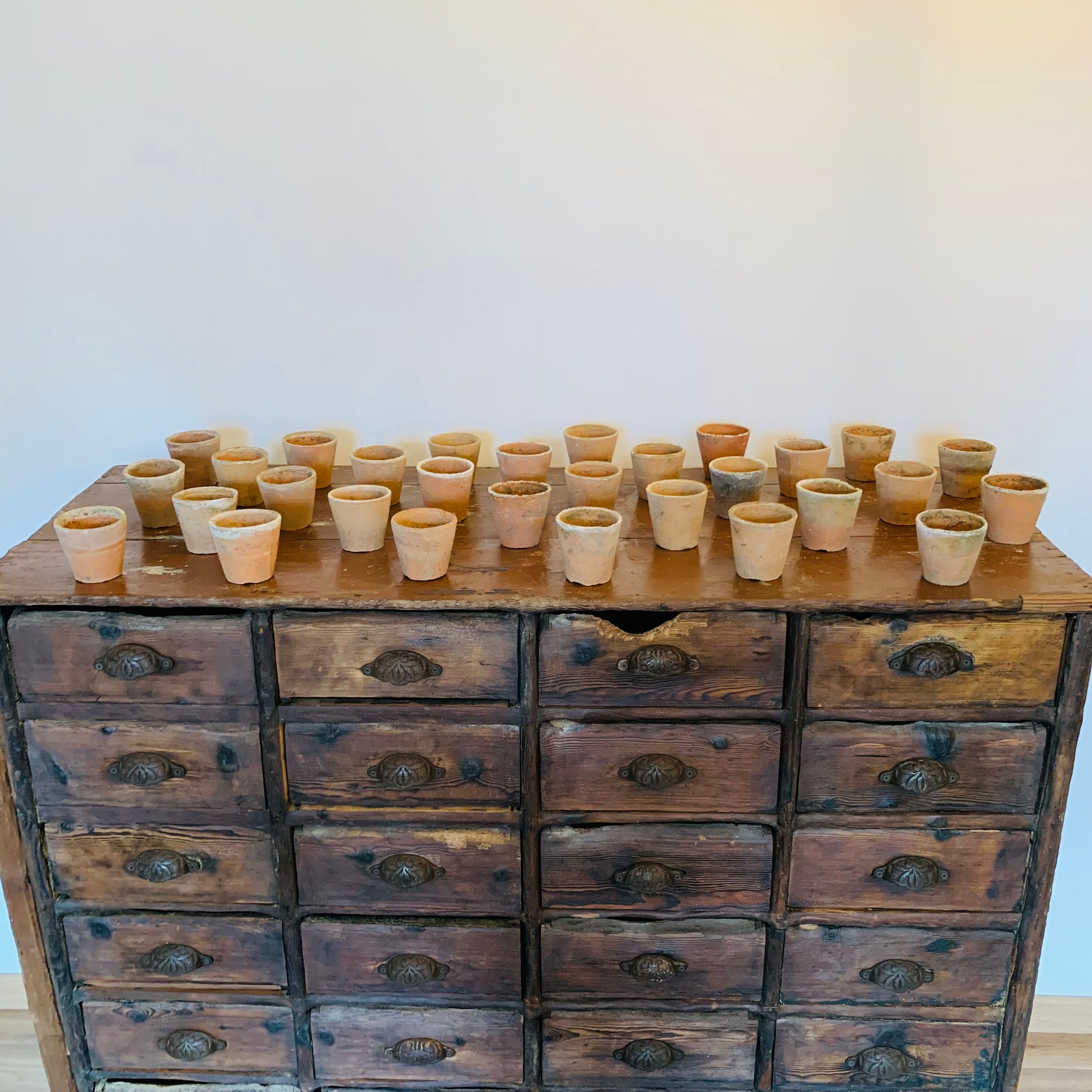 Lot of 30 terracotta pots circa 1930 graineterie