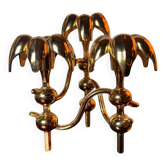Chandelier Palm Nagel années 70