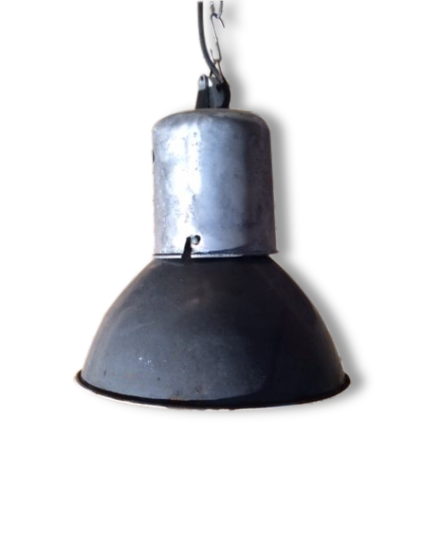 Plant 50 years old lamp