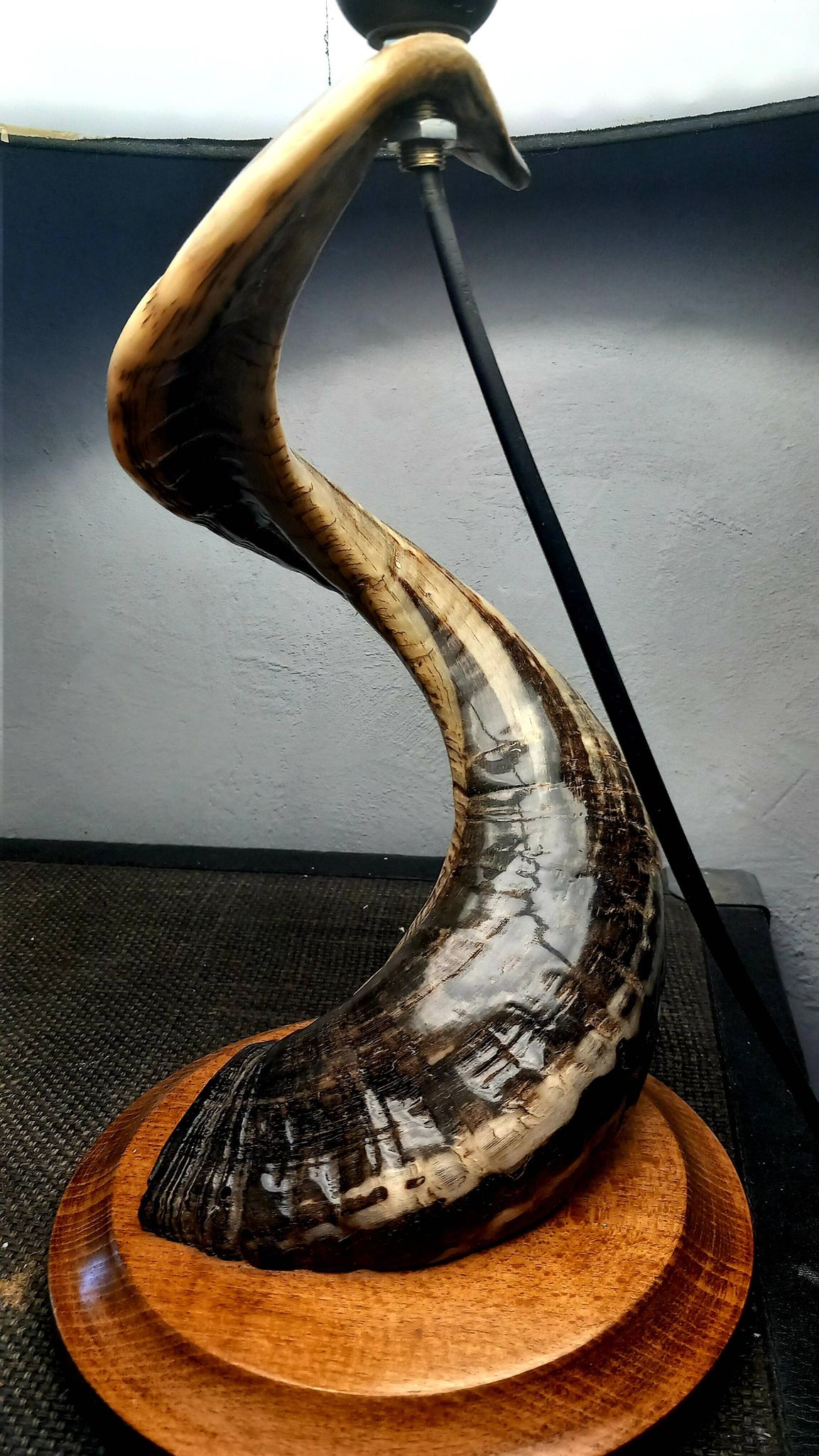 Lampe de salon brutaliste corne de Belier 1970