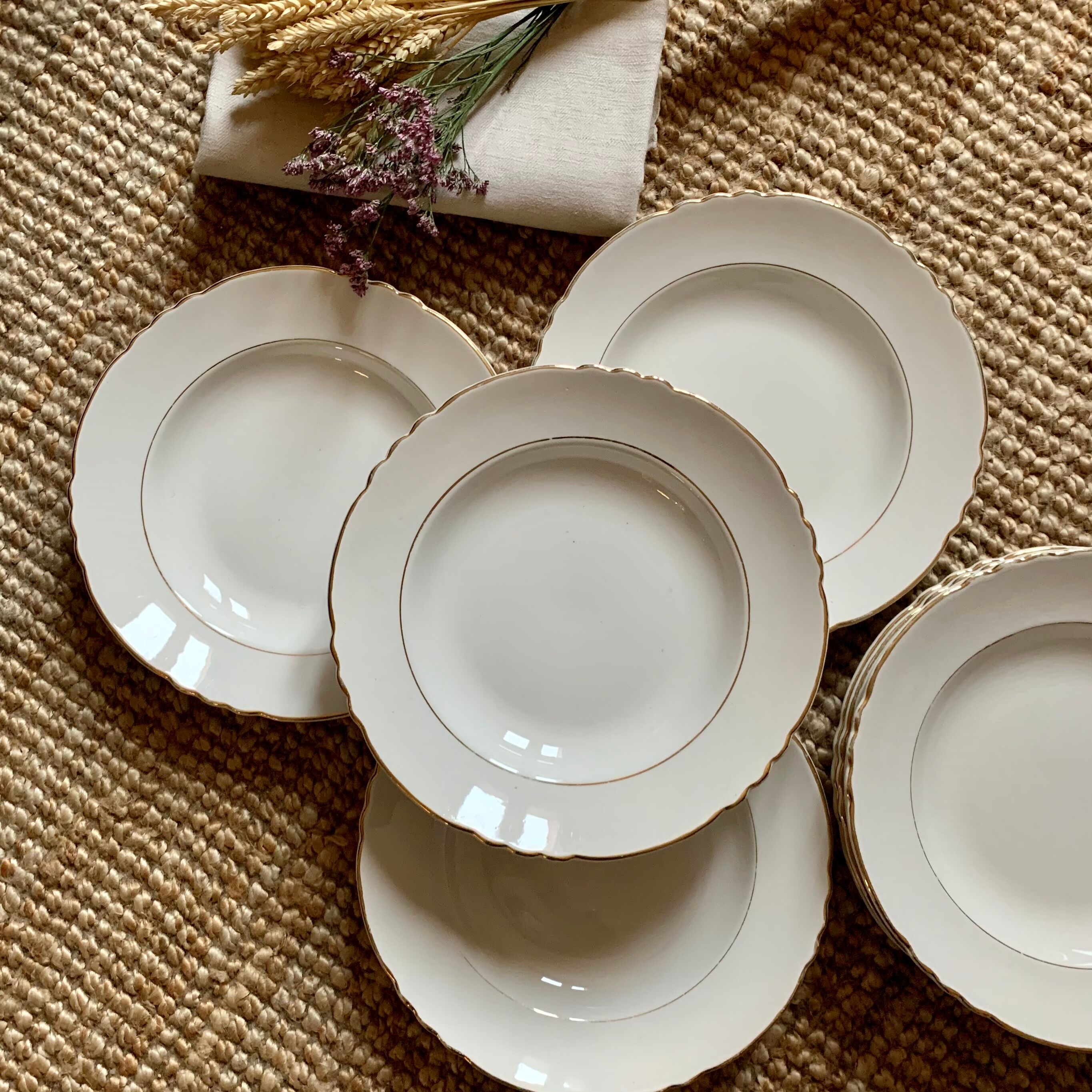 Lot of 10 hollow plates Mill of The Wolves semi-porcelain