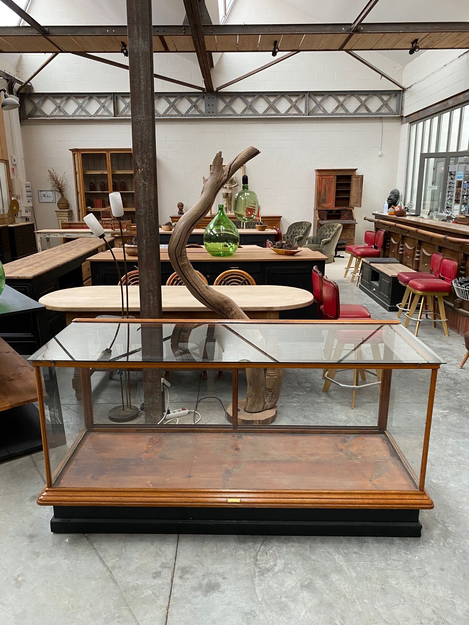 Presentation showcase counter early XXth