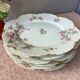 Plates Haviland Limoges 1900 - floral decoration liberty