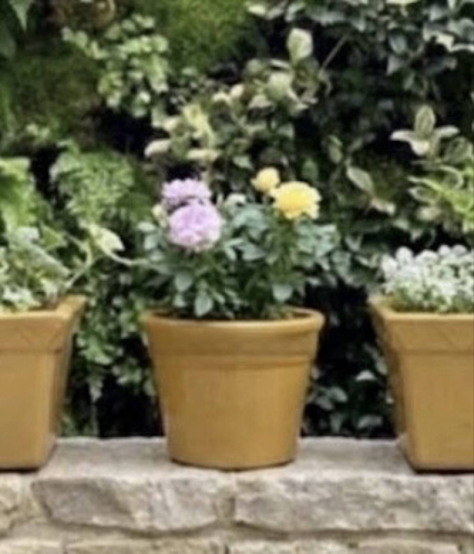 Italian garden pot silma from the 1970s