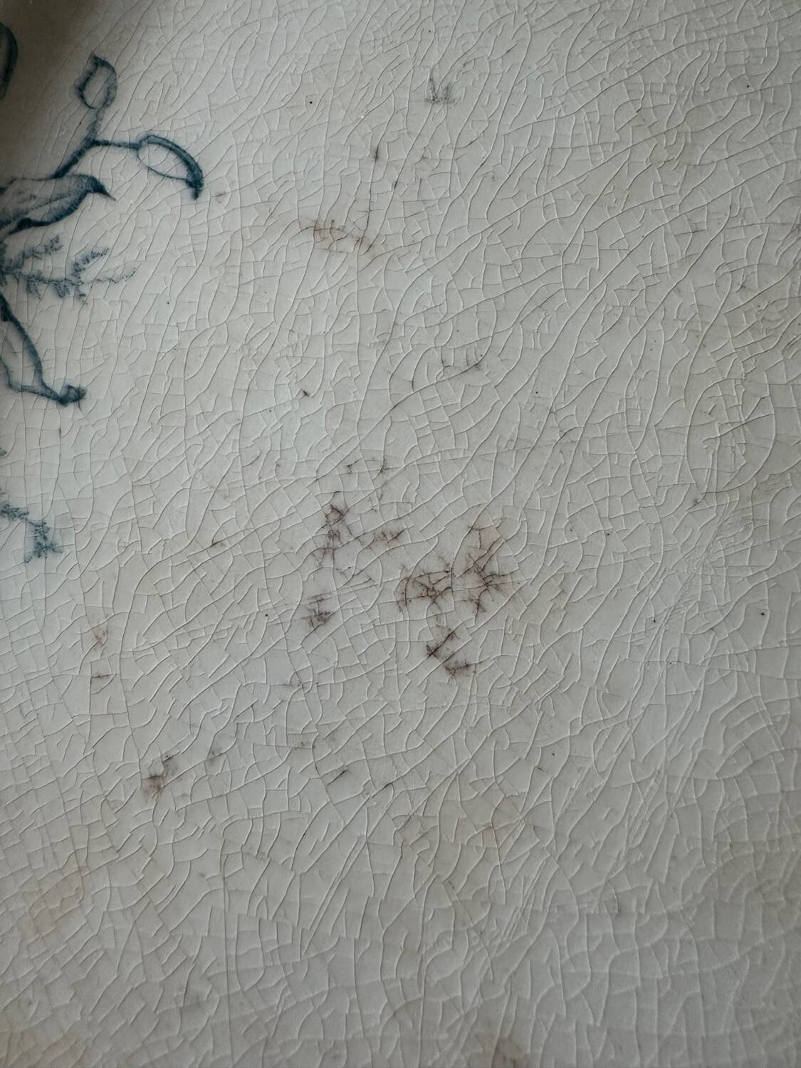 Petrus regout oval dish orchid model large