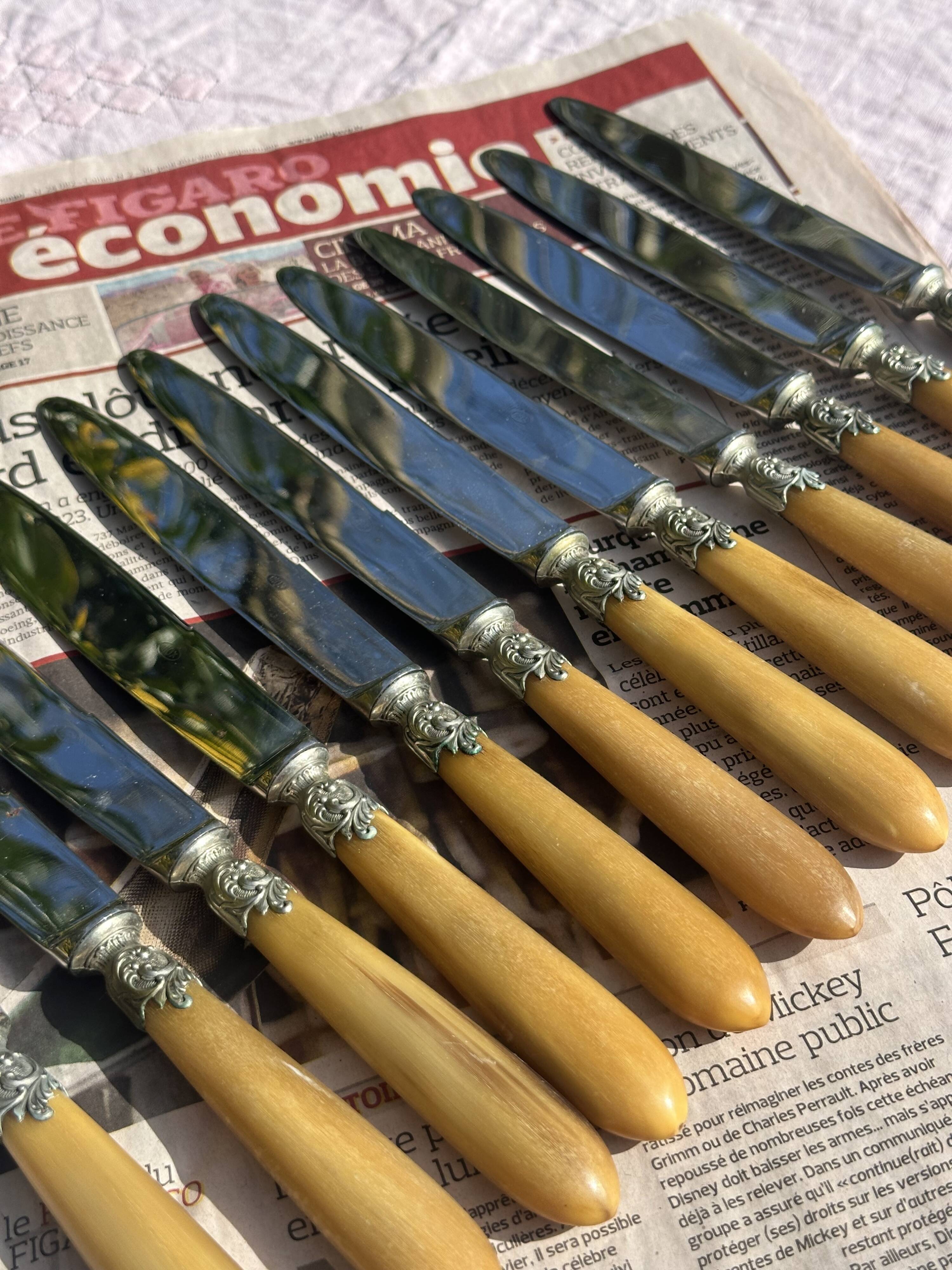 Set of 12 Antique Art Nouveau Table Knives - Tableware