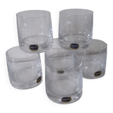 Bohemian Crystal Glasses