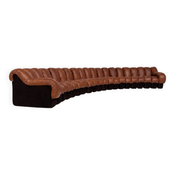 De Sede Ds600 Snake in cognac leather, 20 elements (in NEW CONDITION)!