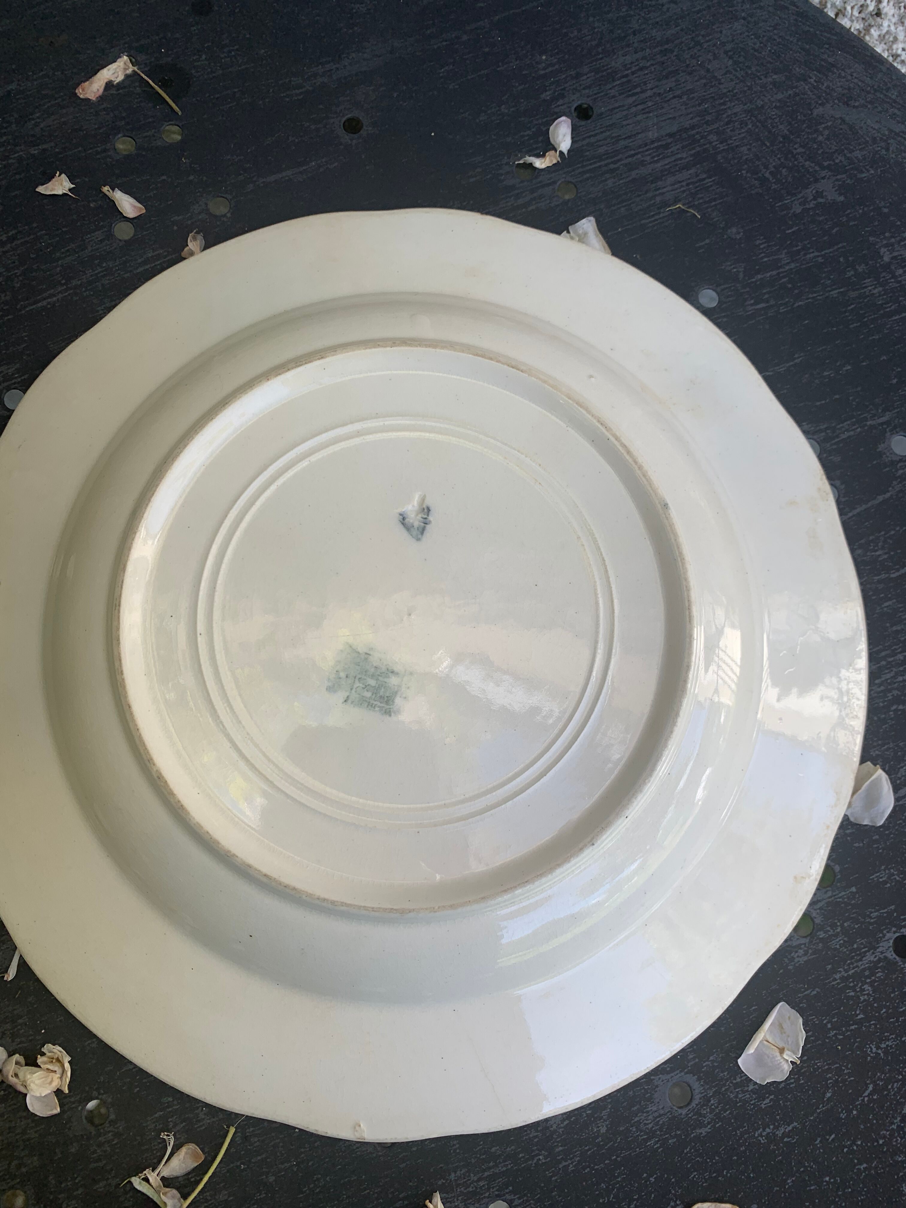 Hollow plate, fruit cup pattern carnations badonviller