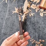 Coffret à Couverts à Poisson Antique en Acier Inoxydable et Bois du Milieu du 20ème Siècle