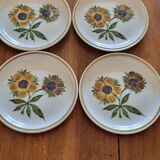 Gien plate