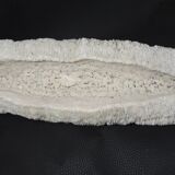 White coral cushion shark, vanuatu, papua new guinea