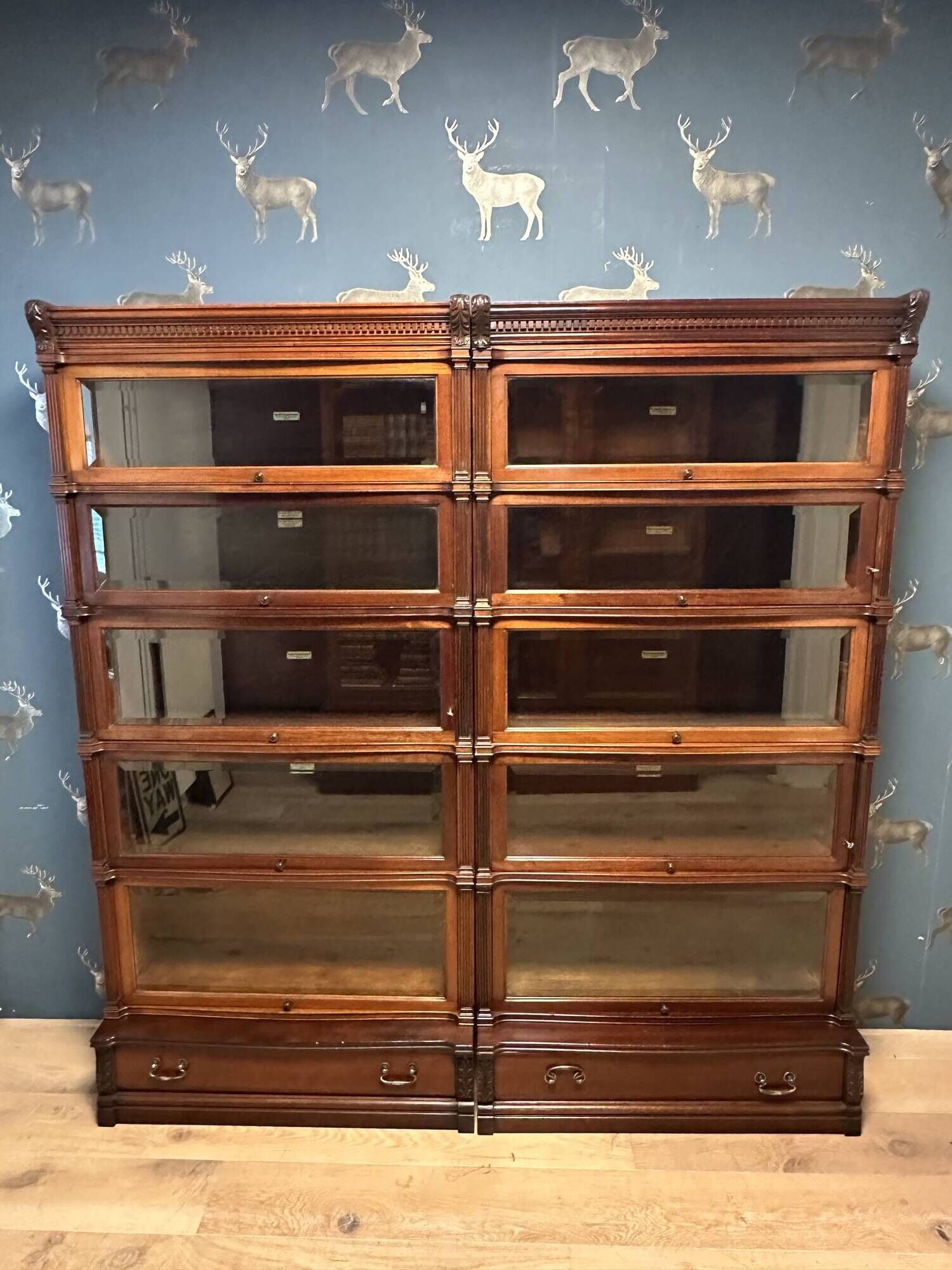 Special Globe Wernicke Bookcase