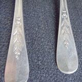 Coffee Spoon Christofle Canals laurel