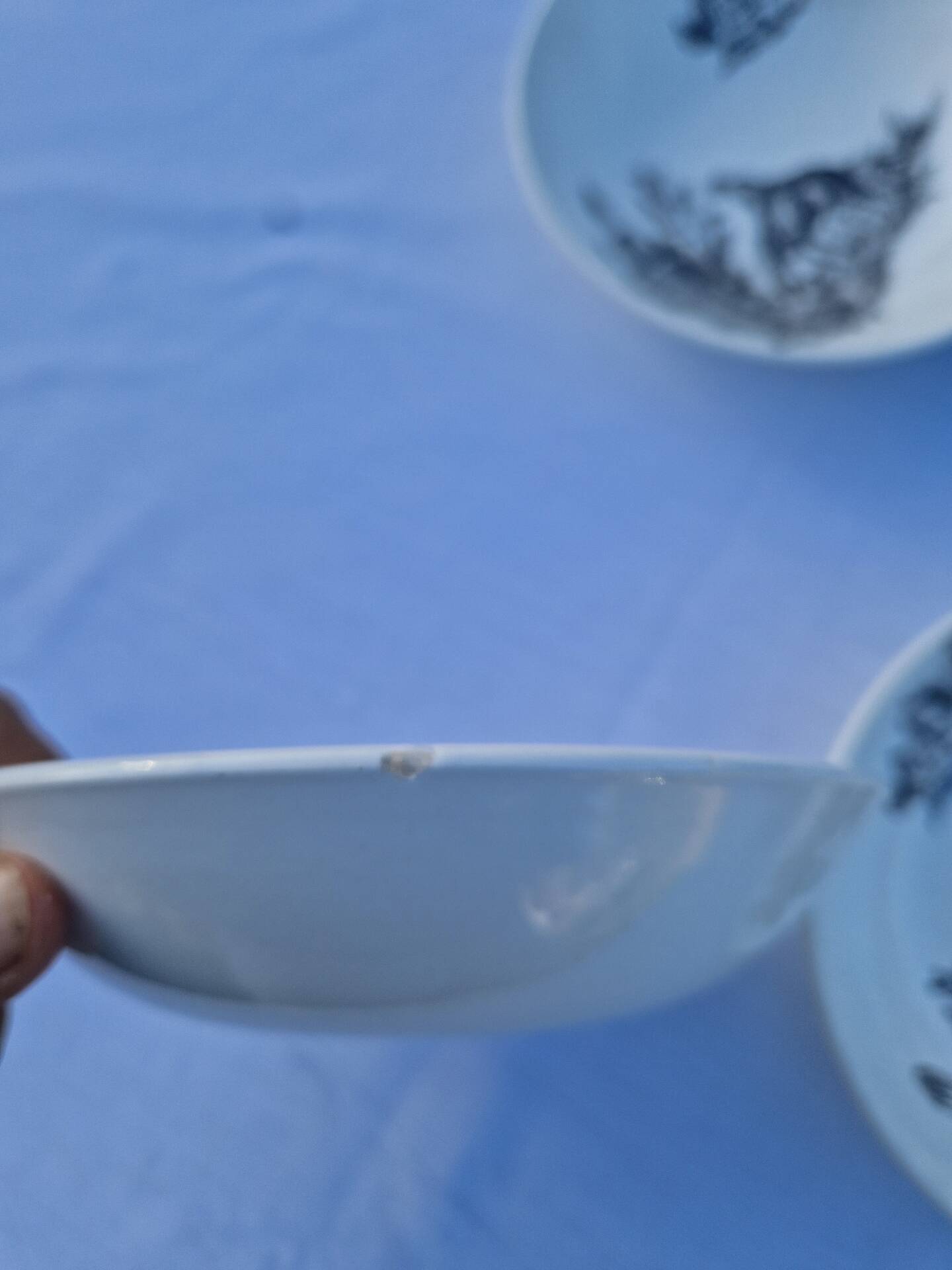 Assiettes Creuses Ou Bols Salins Modèle Pastorale