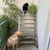 Workshop staircase in vintage raw wood