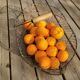 Old mesh metal basket