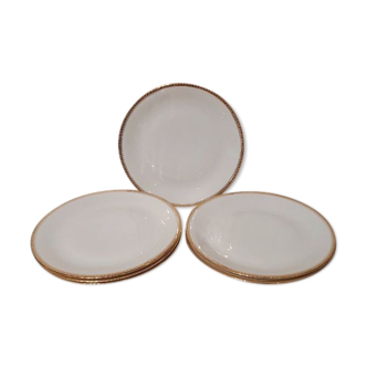 Lot 6 flat plates Limoges porcelain