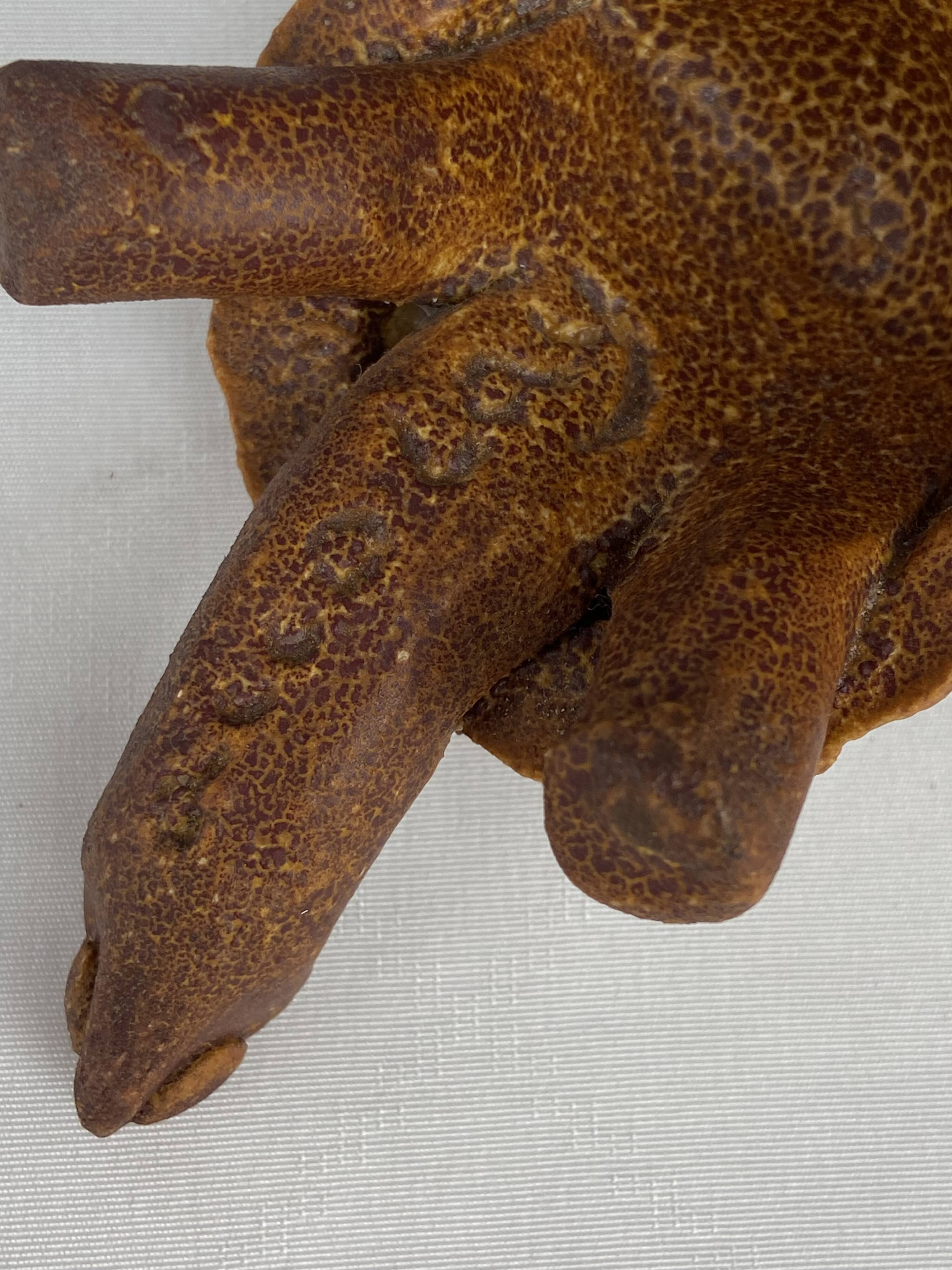 Accolay turtle, ceramic sculpture