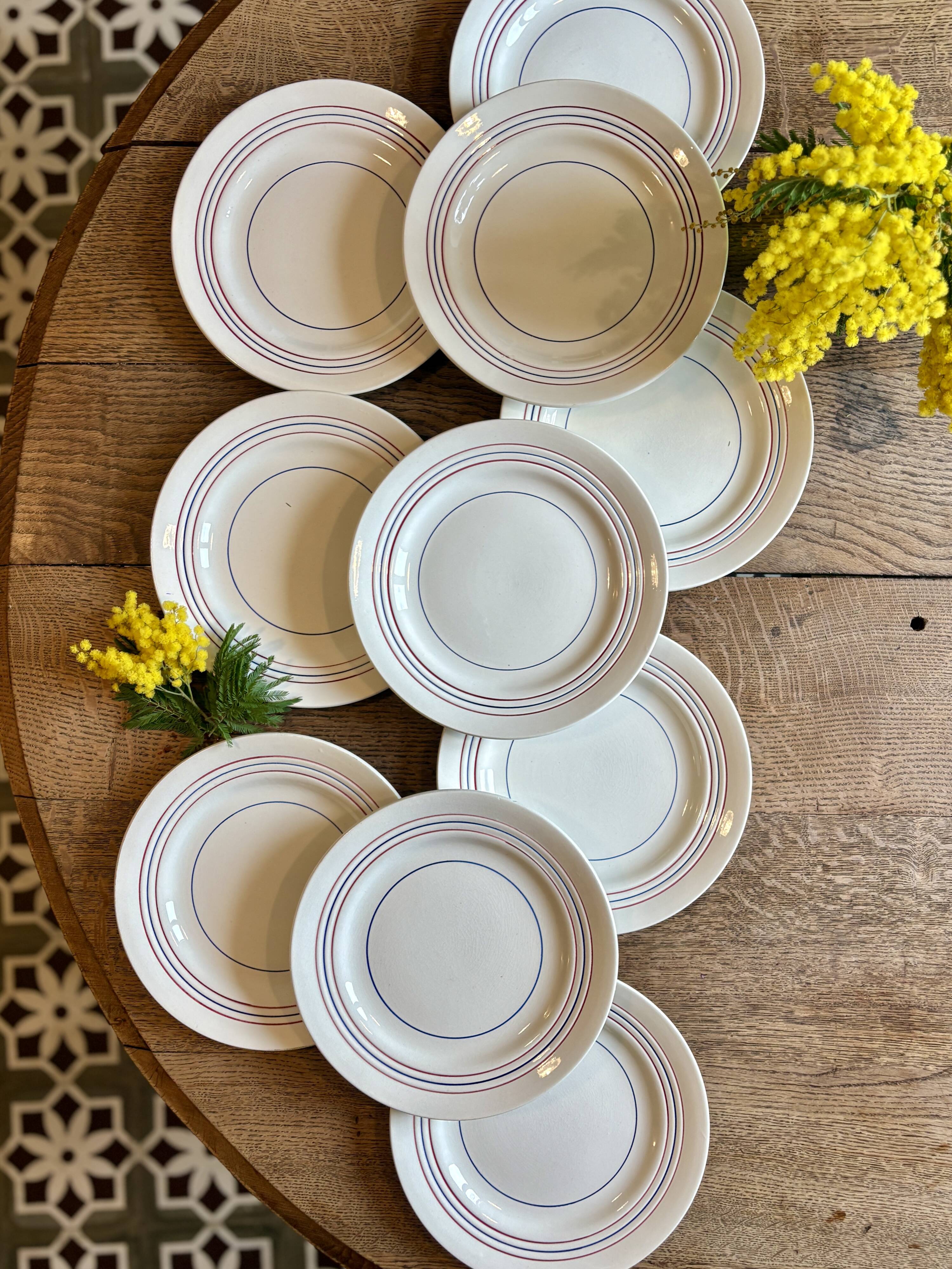 Set of 10 vintage flat plates in semi-porcelain Céranord.