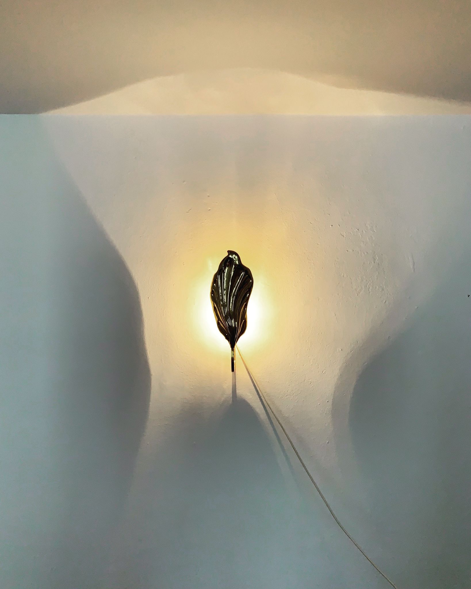 Set of 2 italian Mid Century Modern brass leaf shaped wall lamps by Tommaso Barbi