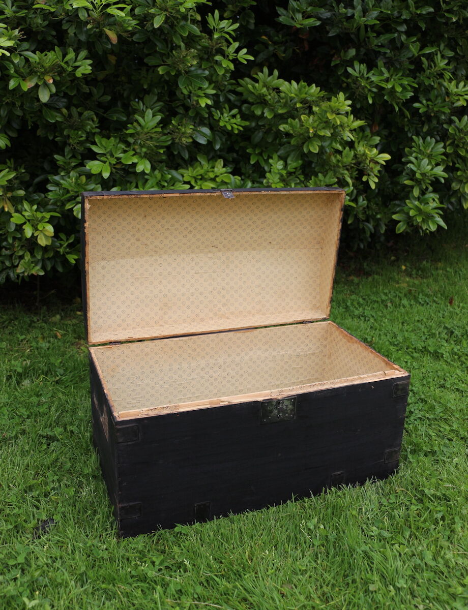 Small curved black trunk