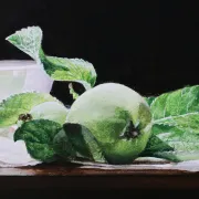 Still life with apples and white bowl – Marjolein van den Berg, c. 2011