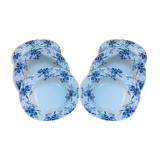 Suite de 6 assiettes creuses porcelaine blanche à décor de roses bleues