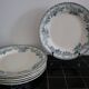 6 flat plates Terre de Fer model Guadeloupe Saint Amand