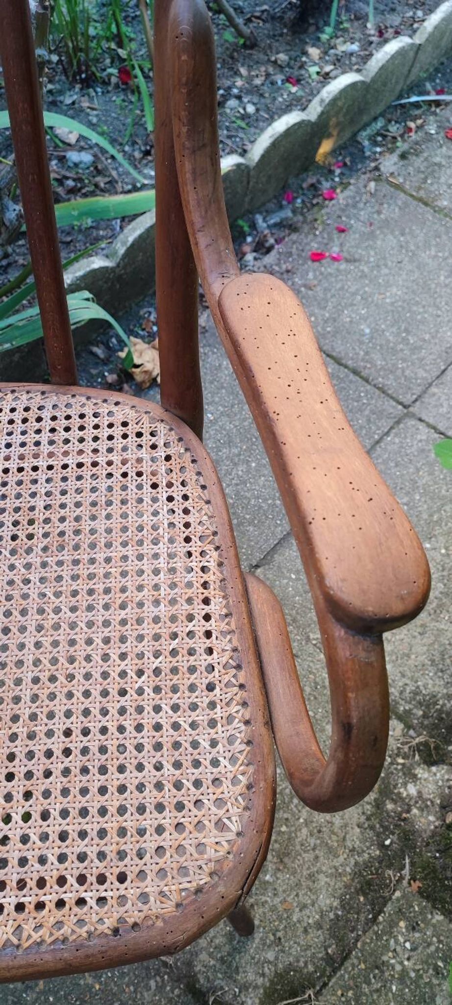 Thonet armchair no. 56