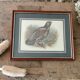 Bird lithograph table 27x 22cm
