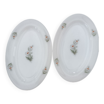 Two arcopal dishes