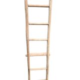 Old tree trunk ladder